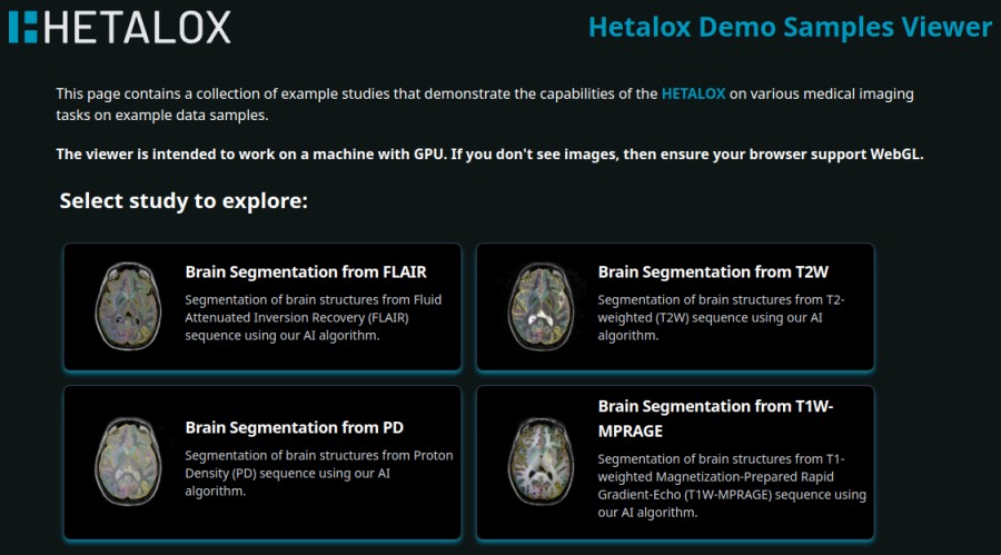 Interactive exploration of MRI brain segmentations